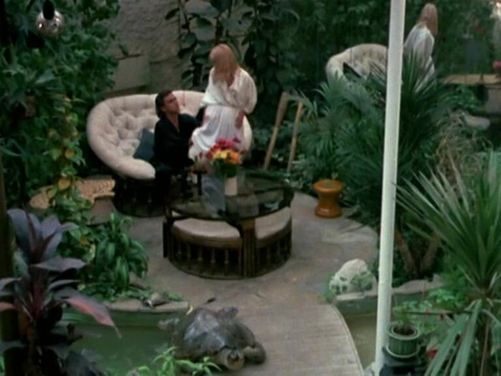 Java Consulting: Morgane Kanepede: 69 Ve Boşalma.