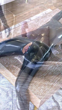 Latexová obývací dekorace - Alex Latex