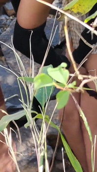 Saya mengongkek teman wanita tua saya di dalam hutan