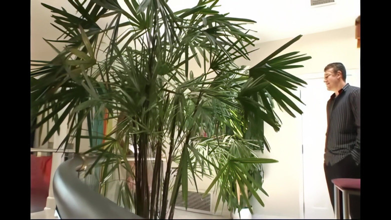 Lexinghton - Full HD: 与混蛋一起生活