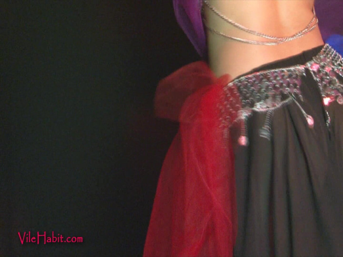 SophiaSylvan: The Sheik Controlled Through Hip-nosis