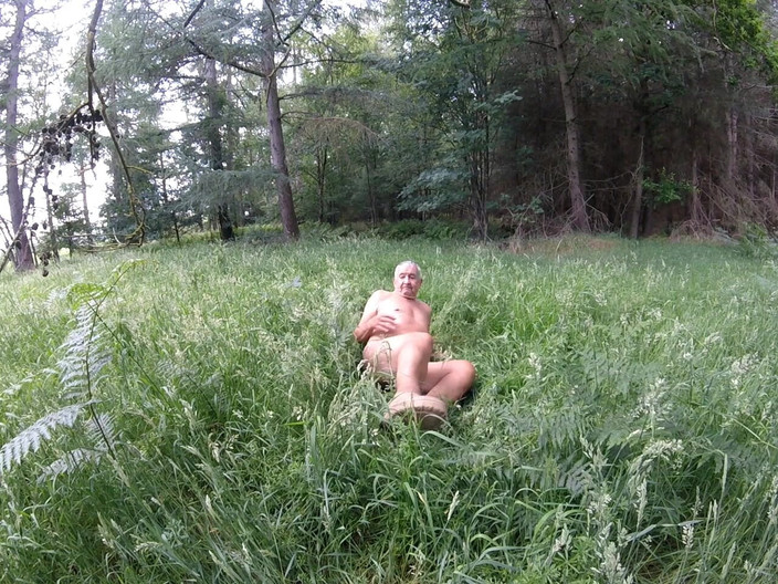 Andy: ウォーク35 2025