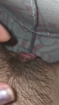 Hairy Pussy
