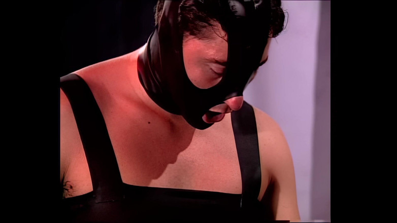 Cinema X: Vintage Fuck with a Slut in Sexy Lingerie