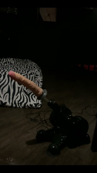 Secret place has lots of toys to play…