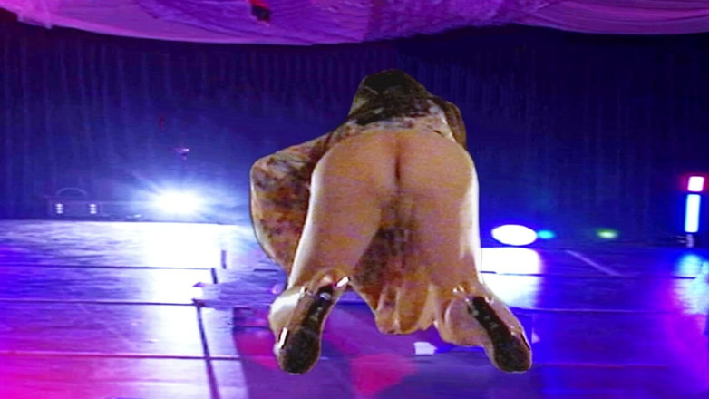 Pai-chan: 처녀 게이샤 Pai-chan의 오만코 누드 쇼