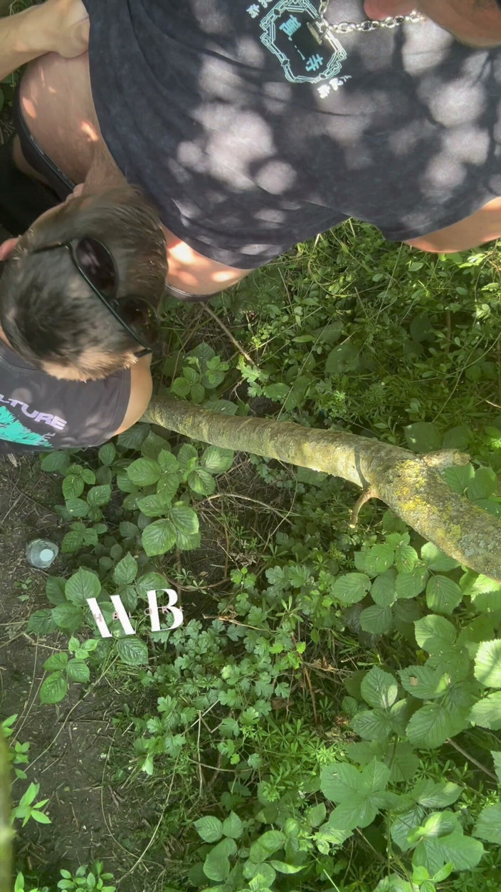 welsh_blokexxx: Cruisng Area BJ in the Woods