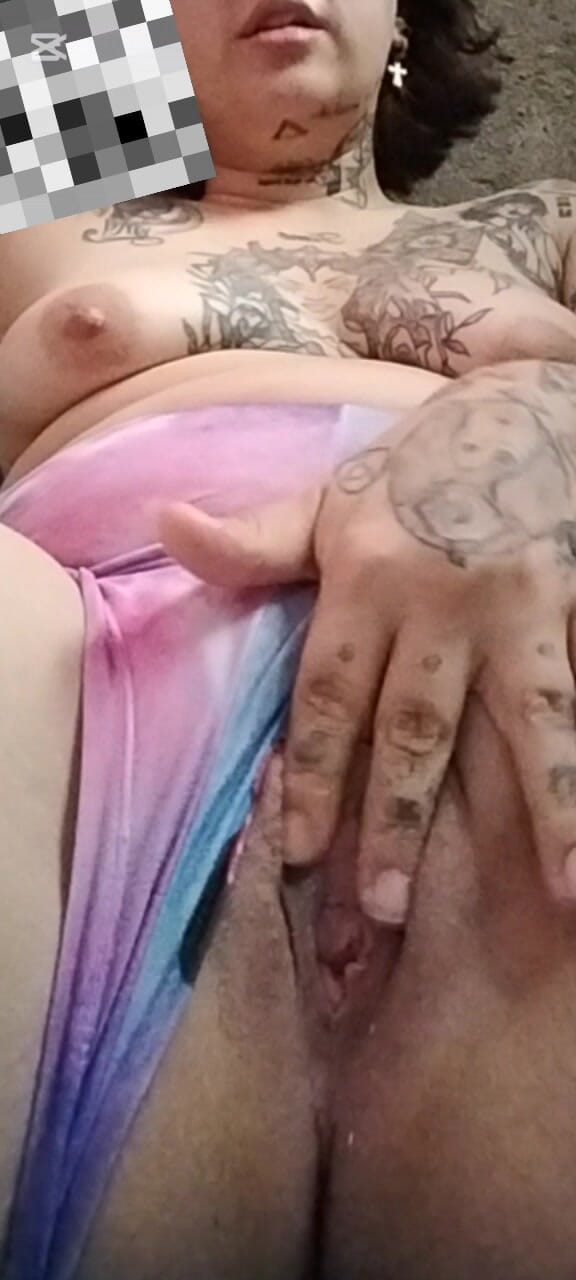 Dalyla: Latinskoamerické mléko