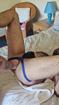 Gaură de urs italian păroasă care se întinde