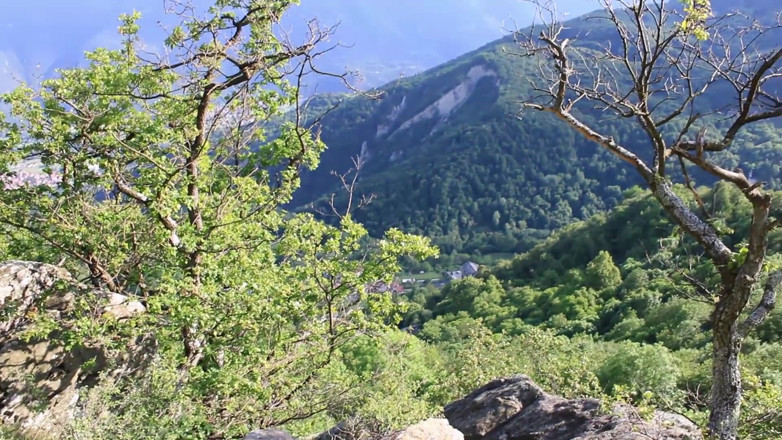 Chri Ursula: Walking in the mountains ends with blowjob in outdoor