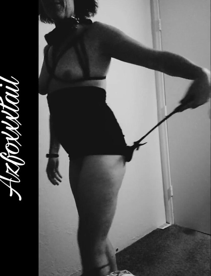 AzFoxxxTailPhelicia: Whip 2