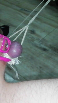 Sissy in Chastity CBT Balls Tied and Stretched Until They Turned Purple