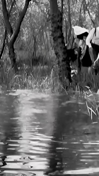 Baden Verboten Aka Bathing Forbidden Restored in 4K