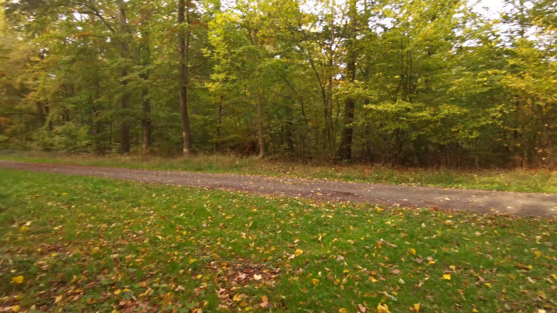 Bouncy Tits Action: Ass and Titspanking in Nature