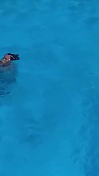 Come una casalinga sessualmente solitaria in vacanza in piscina impara ad immergersi