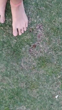 Barefoot Nature Walk