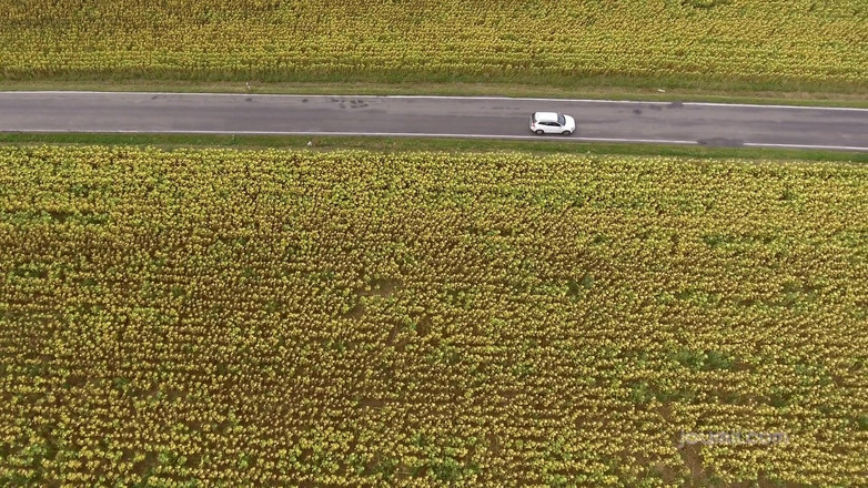 Joymii: Joymii - adam karısını bu ateşli otostopçu tarafından aldatıyor