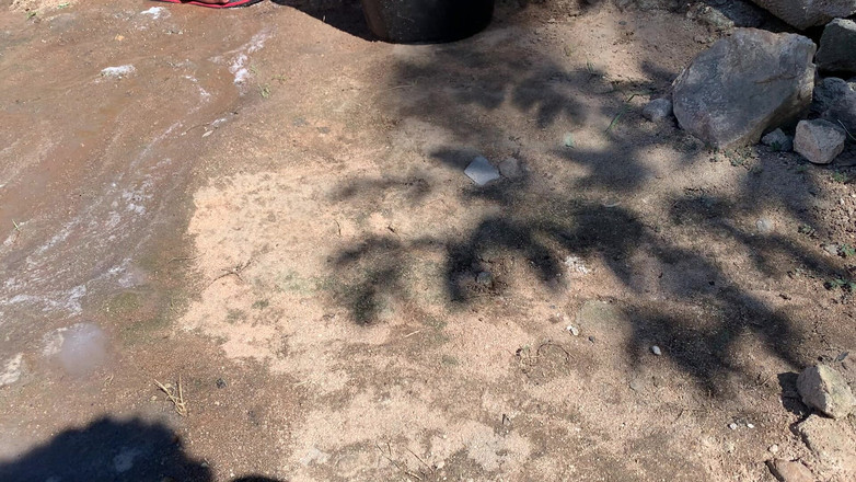 BMCs: Овощная ванна, чтобы получить лучшую фотографию самого большого хуя в Африке