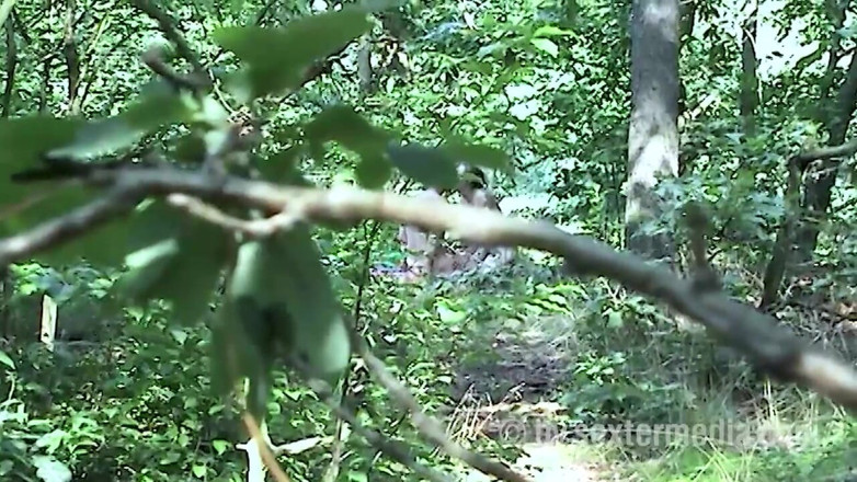Sextermedia by Pete: Couple Sex in the Green