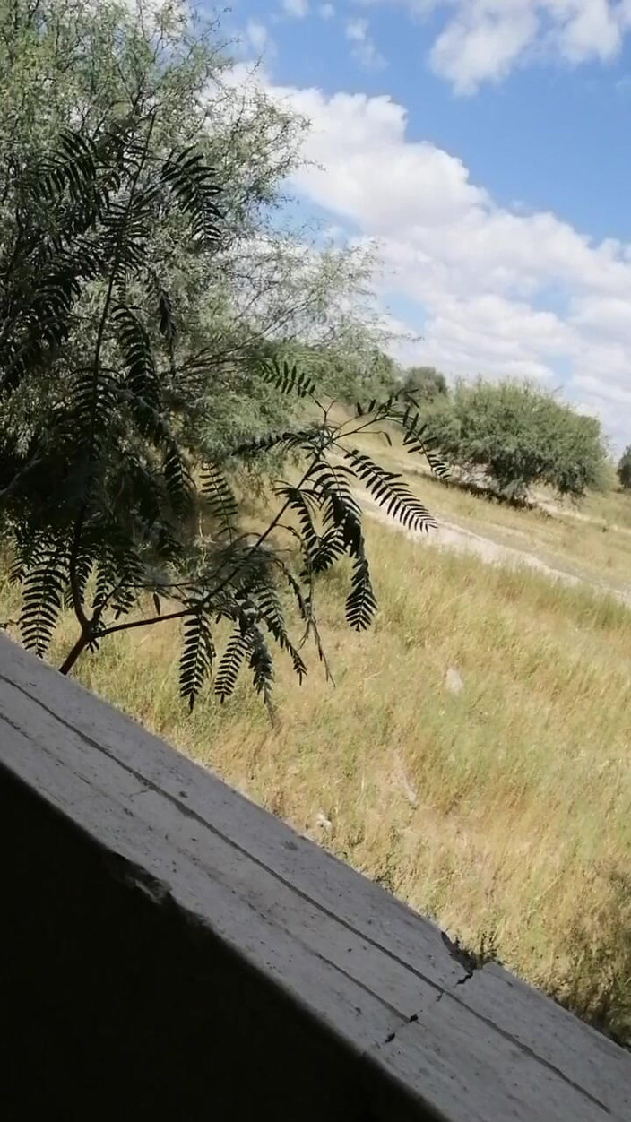 Marga9012: Chiloți în Mână
