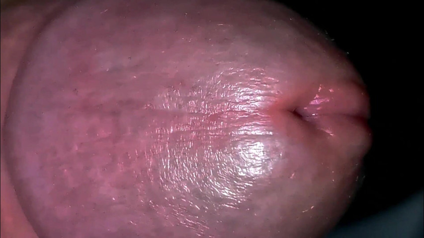 An Excited Penis and a Beautiful Ass Very Close up (Sexy guybest)