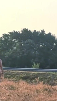 Summer Walk of the Slave Tih