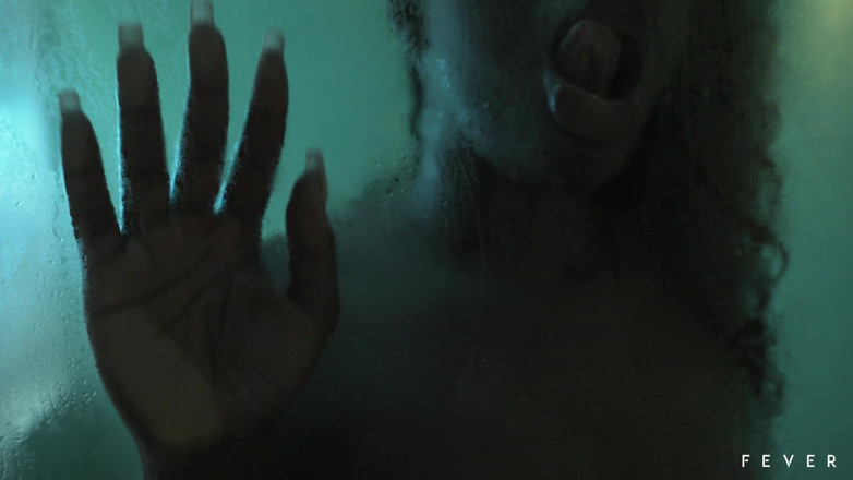 Fever Films: This delicious ebony masturbated in the hotel bathroom