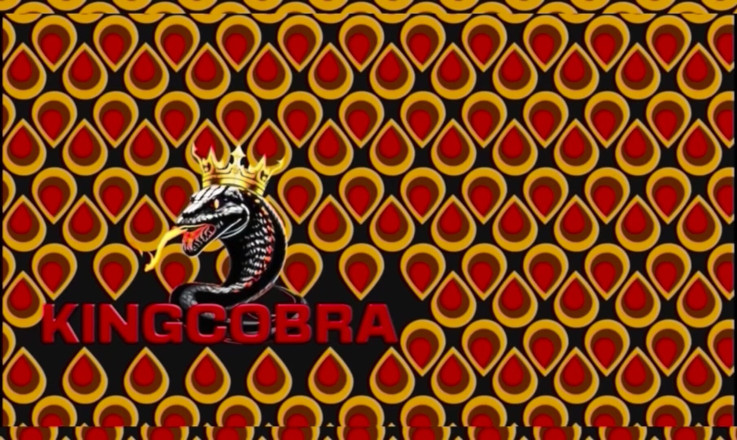 RealKingCobra: Detrás De Escena: Folla Mi Culo Con Esa Gran Cobra...