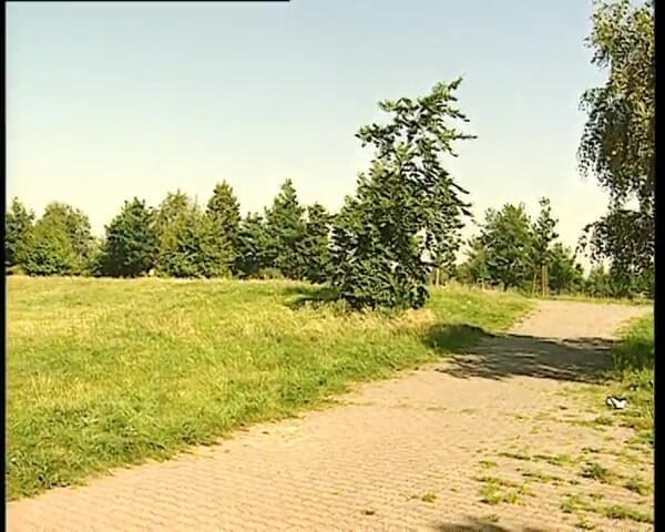 YOUR FIRST PORN: Historia domu z Rebecą zbliża się na niemieckie ulice