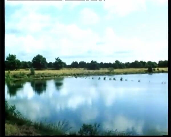 GERMAN PORN CLASSICS: Innocence of Lande Country Innocence Herzog Video