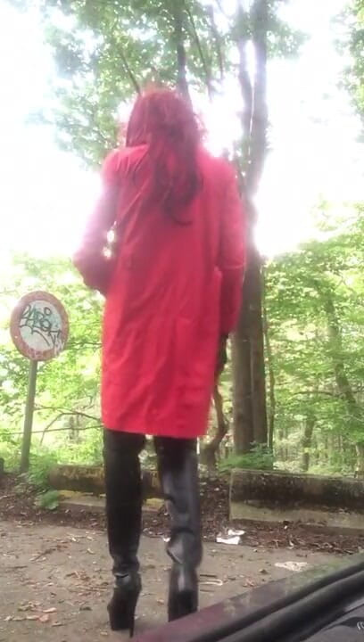 Sofiasse: Eu estava andando na floresta