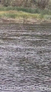 Eu Descaradamente Fodi Uma Maricas Em Seus Buracos Super Quentes Sem Camisinha Em Público