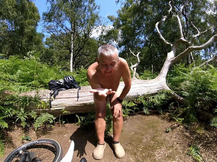 Andy: Promenade 34 2025