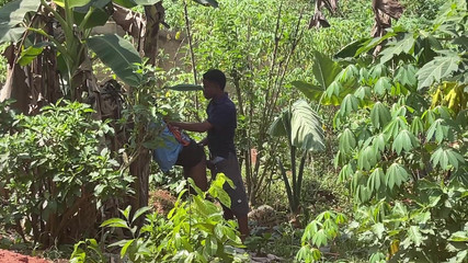 Amateur Teen Studio: Jadi Cepat jadi tiada siapa yang akan menangkap kami (di sebalik...