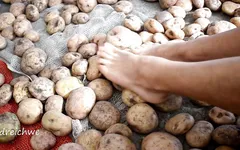Touching delicious potatoes with the feet
