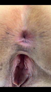 I Are so Horny