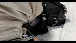 职业困难（第2部分）