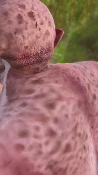 The Ogre and the Forest of Fat Ass