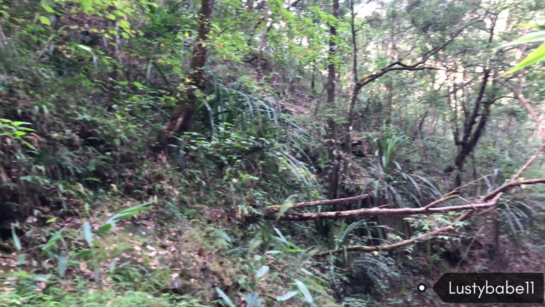 Lustybaby605: 徒步旅行和在山上啪