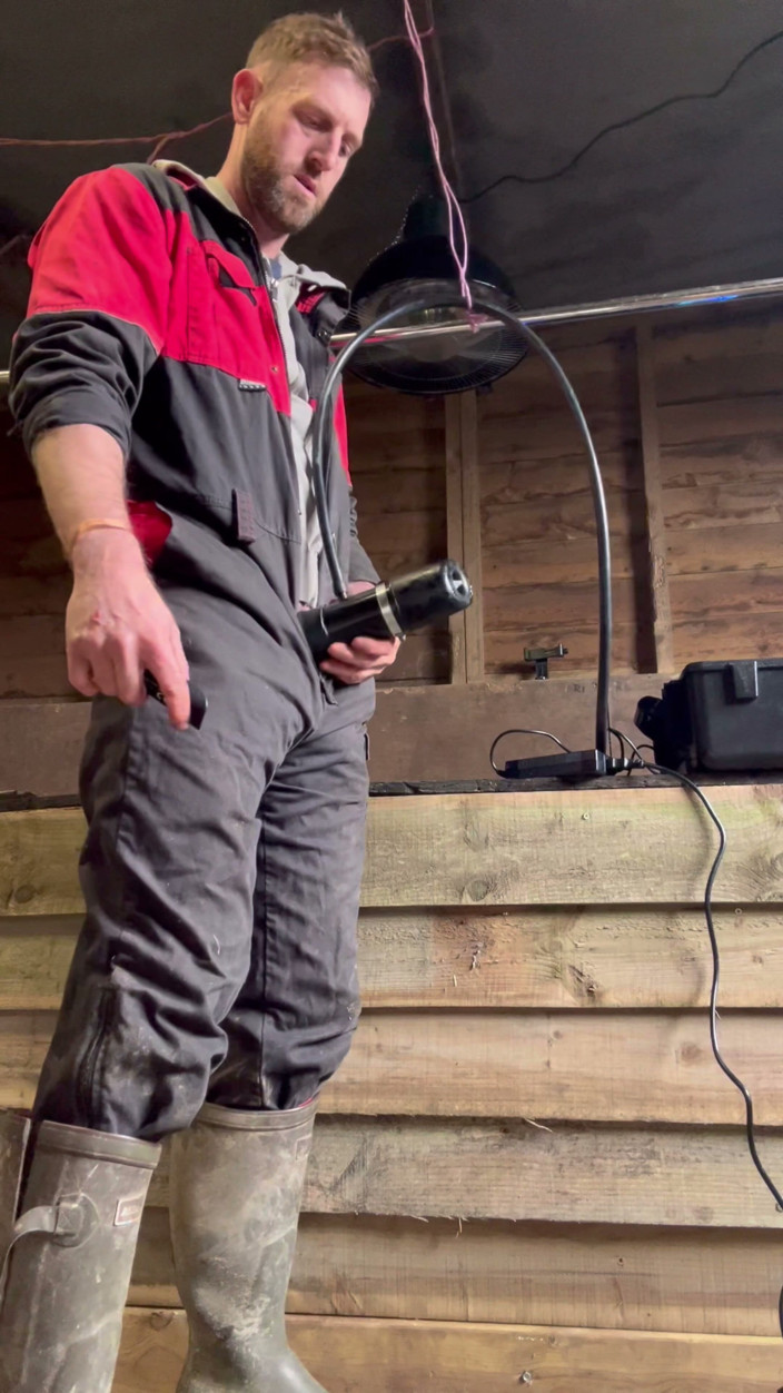 Farmer Sam: Farmář kouří a dojí se s dojicím strojem