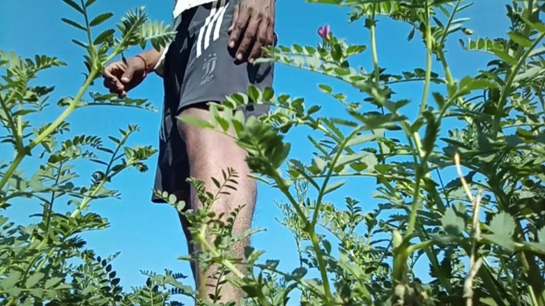 Lubina45 porn video – A Man Is Finding Joy in His Own Company.