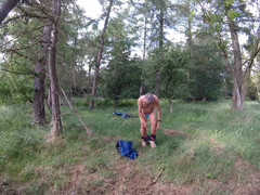 Andy: 步行 35 2025