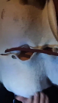 Jugando Con Mi Coño Mojado En El Coche Mientras Novio Mira - Pareja Amateur Se Divierte
