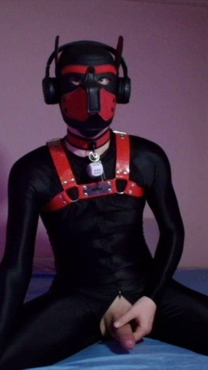 Alex GoodBoy: Remote Controlled Puppy Whimpers While Jerking off