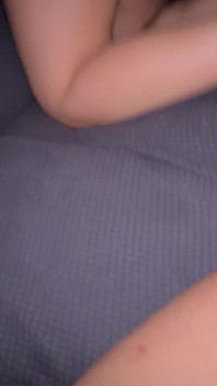 La Perra De Mi Vecina