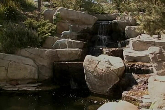 Vintage Babes: 白金金发荡妇在泳池边分享穿戴式假阳具玩具