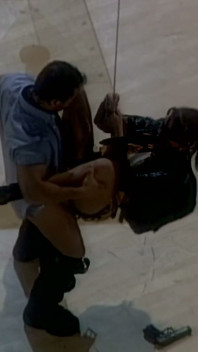 Erotic Swing with Museum Guard