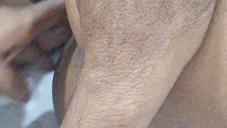 Heybaby: Girlfriend Was Alone in Home; Girlfriend Rough Romance Part -1; HD...