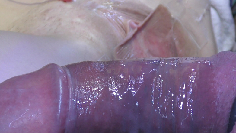 deep keely: 5 Fucking Pussy Spread Jauh Dari Dekat