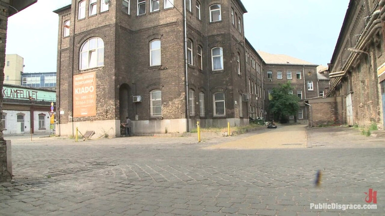 Public Disgrace by Kink: Spacer spust